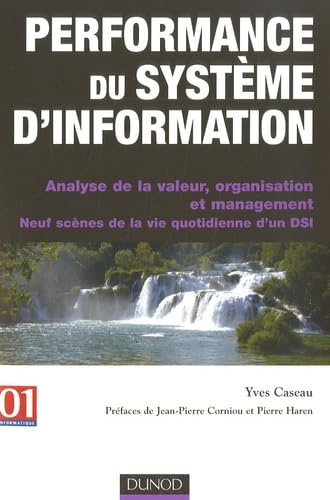 Performance du système d'information 