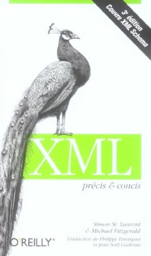 XML 