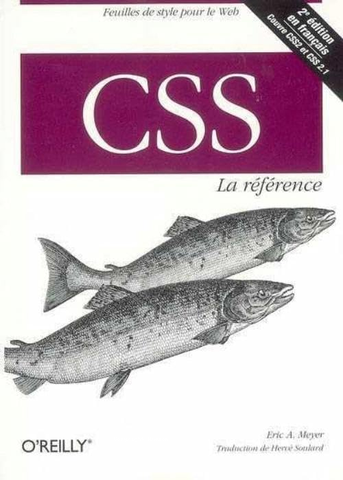 CSS 