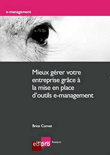 Mieux g&eacute;rer votre entreprise gr&acirc;ce &agrave; la mise en place d'outils e-management