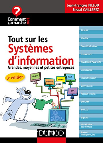 Tout sur les systèmes d'information