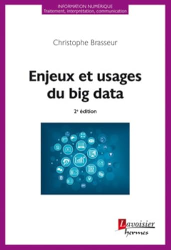 Enjeux et usages du big data