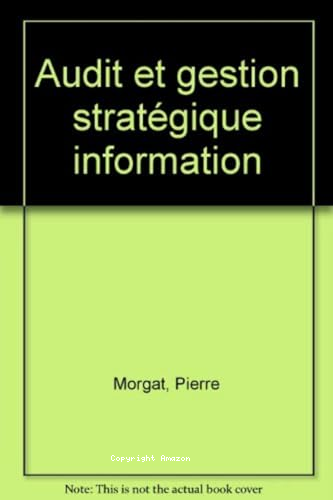 Audit et gestion stratégique de l'information