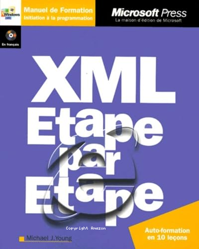 XML 