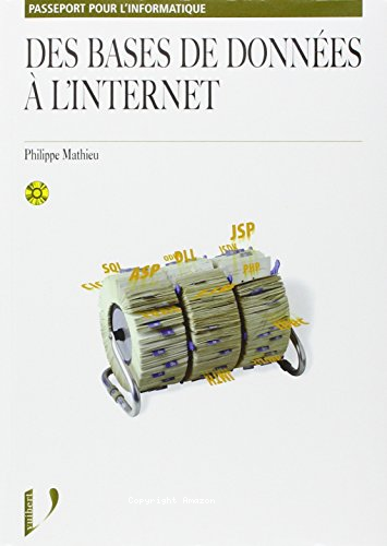 Des bases de données à l'internet