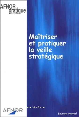 Maîtriser et pratiquer la veille stratégique